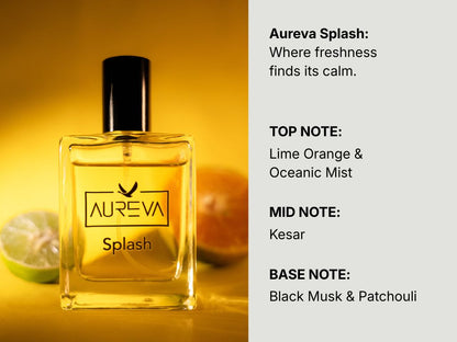 Aureva Classic Combo Set (Ebony × Splash)