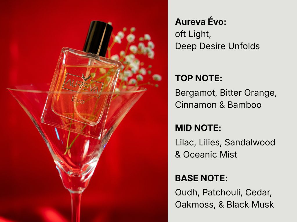 Aureva Classic Combo Set (Noir × Évo)