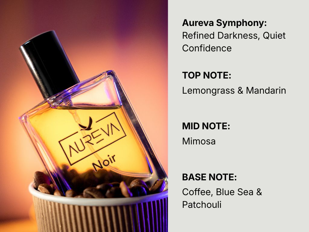 Aureva Classic Combo Set (Noir × Évo)